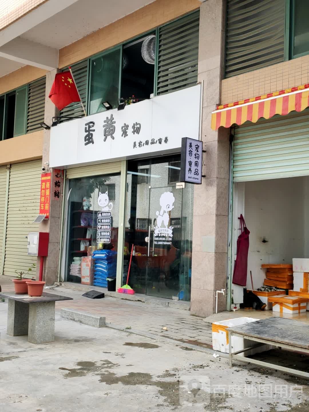 蛋黄宠物