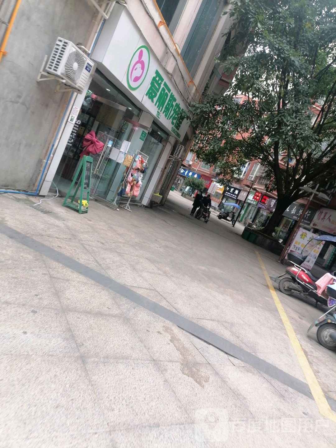 爱丽斯宠屋