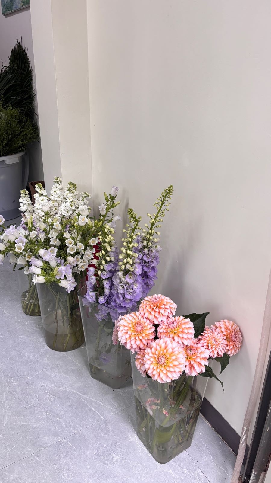 野序花艺工作室