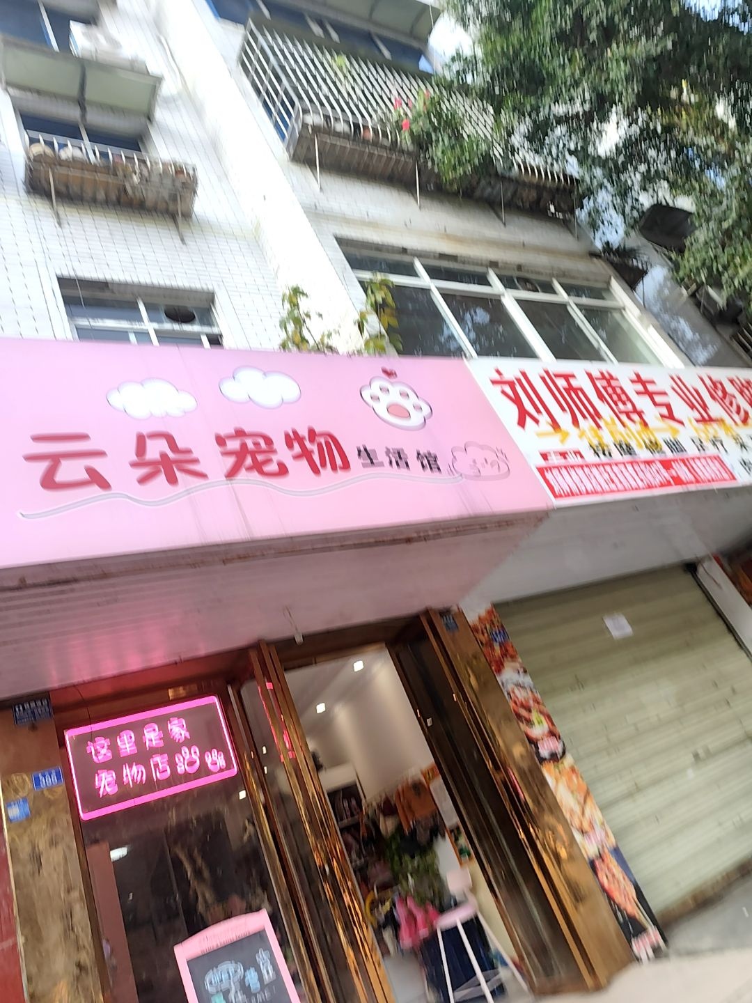 云朵宠物生活馆