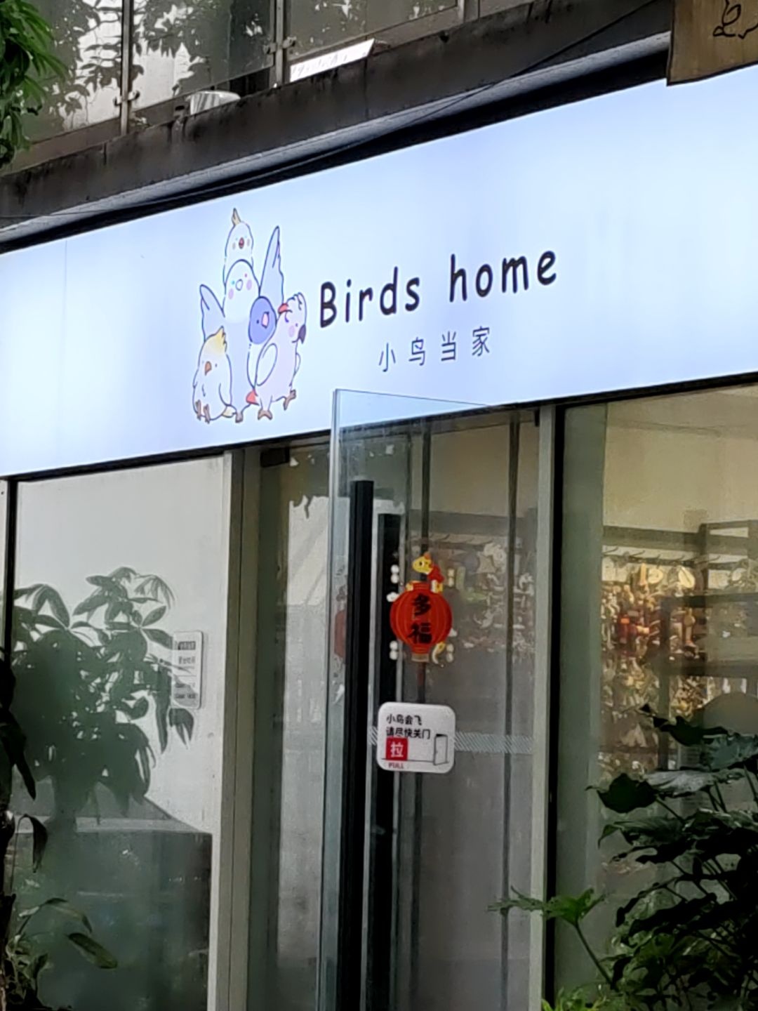 小鸟当家