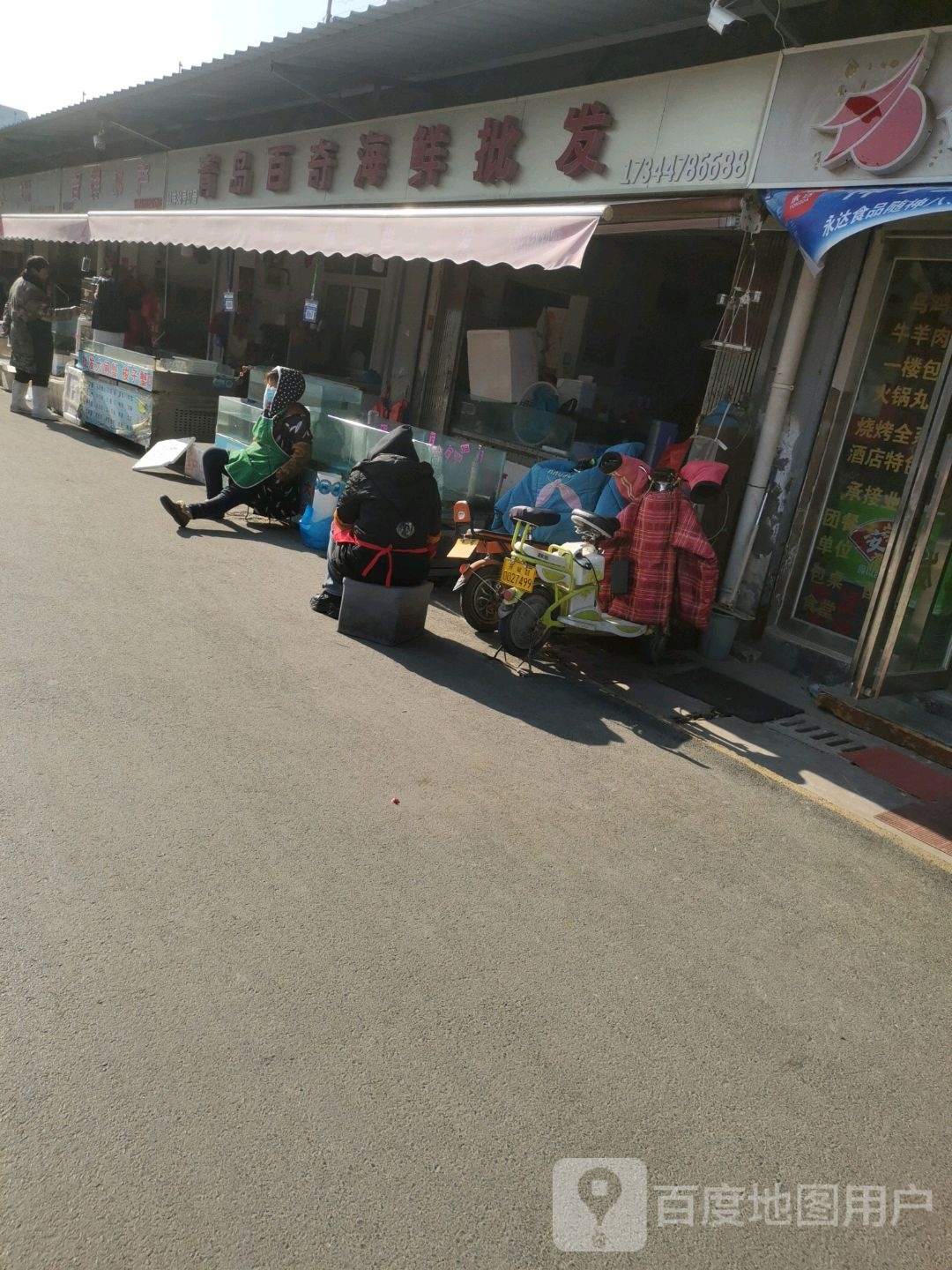 青岛百奇海洋批发