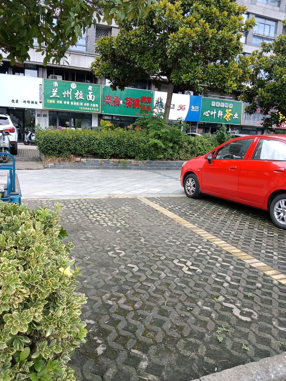 清真兰州拉面(丽园店)