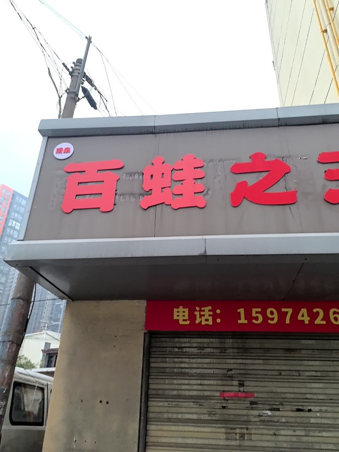 清真百蛙之王石蛙