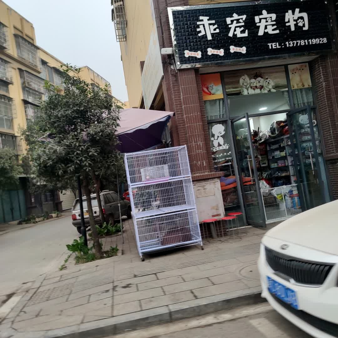 乖宠宠物