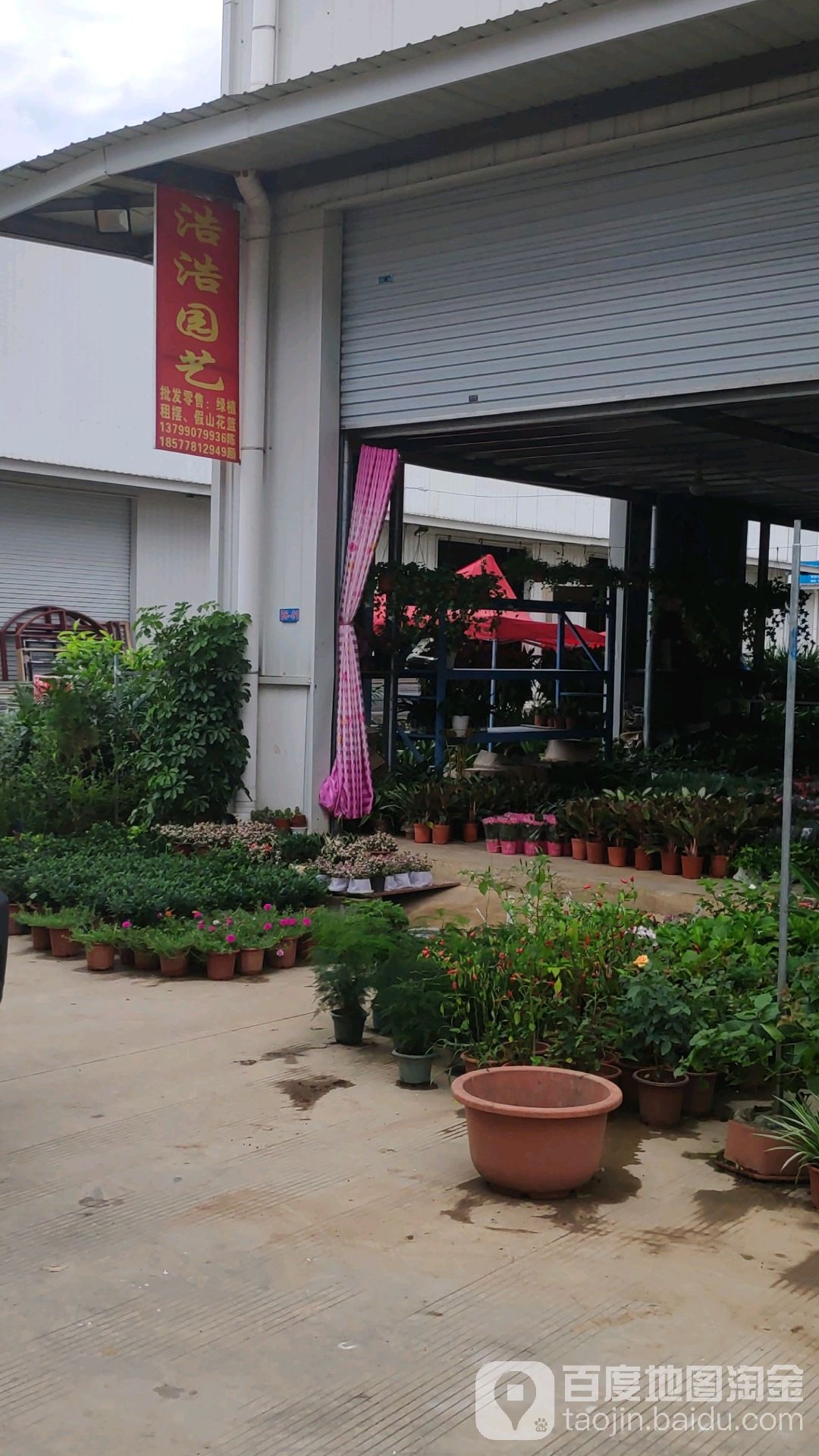 南宁市浩浩园艺(高峰店)