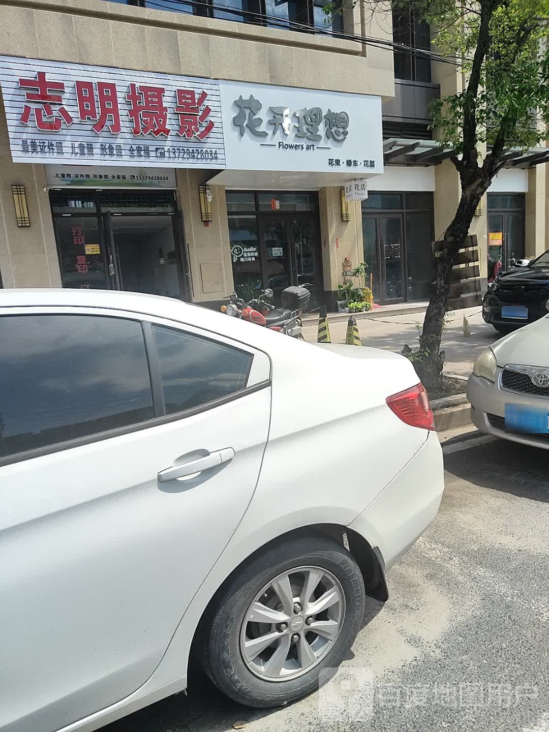 裳扔花想开理