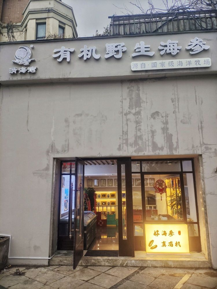 清海湾有机野生海参(旗舰店)