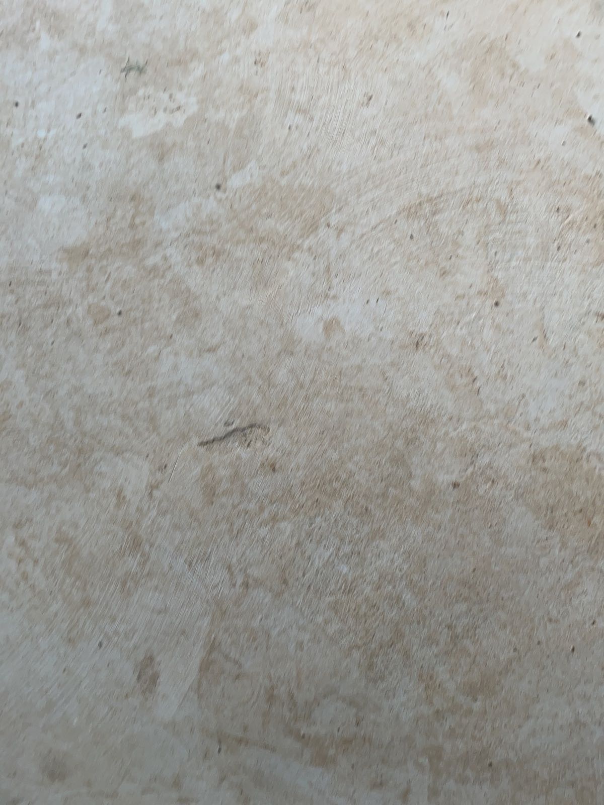 枣庄市蟠龙河建设管理服务中心