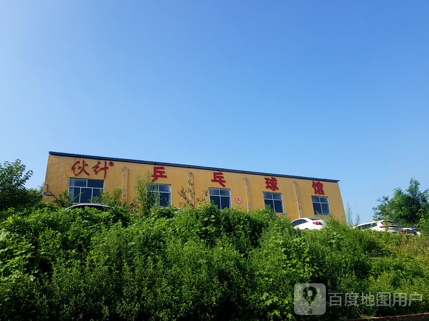 伙计乒乓球