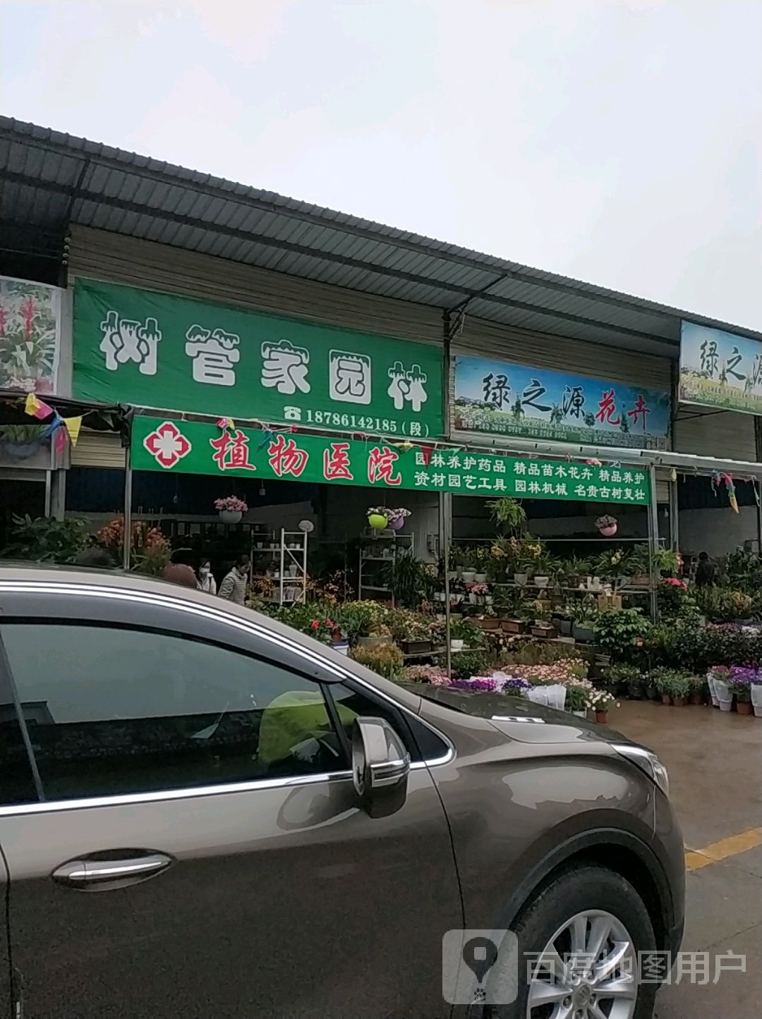 绿之源花卉
