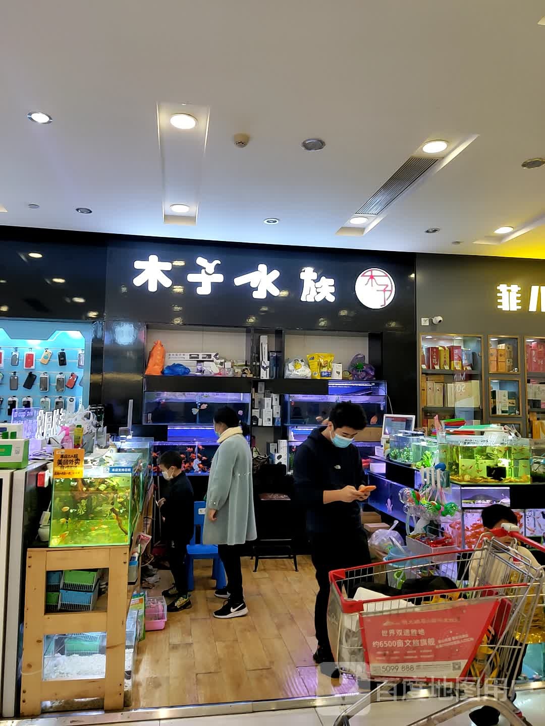 光子水族(魅力城凯德广场店)