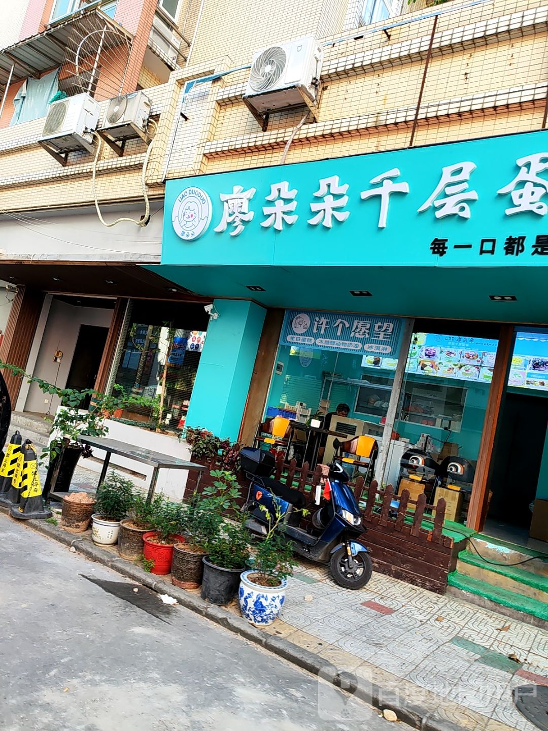 许个愿望·生日蛋糕·木糖醇动物奶油冰淇淋(中山假日广场店)