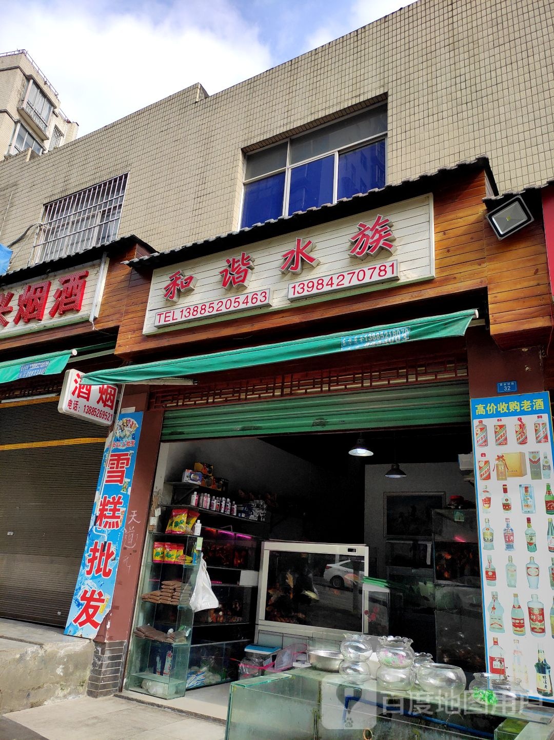 和谐水族