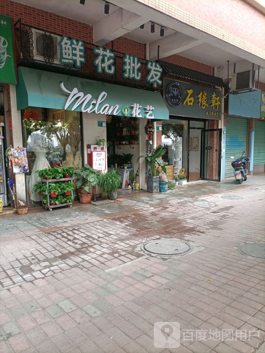 鲜华批发