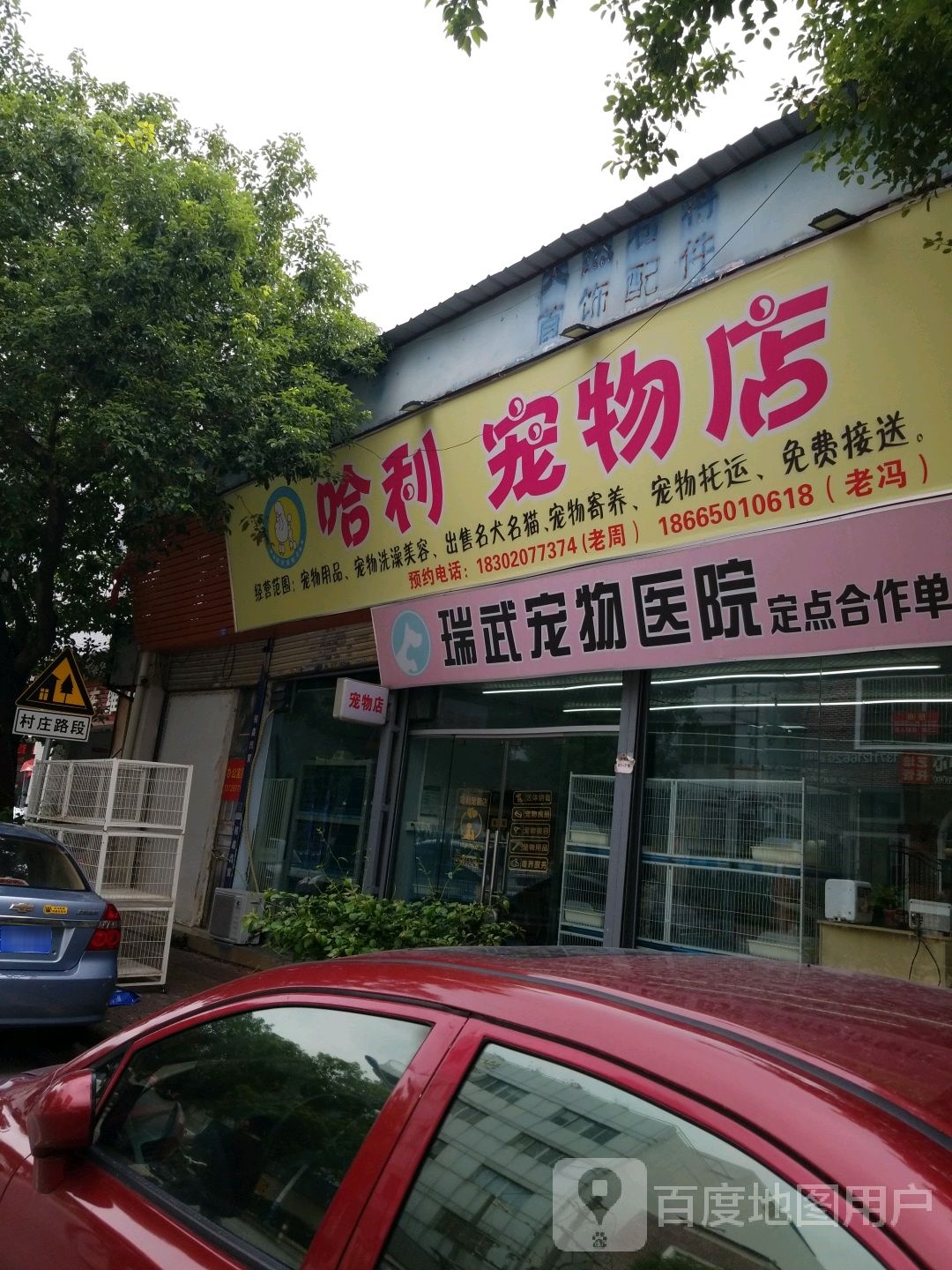 哈利宠物店