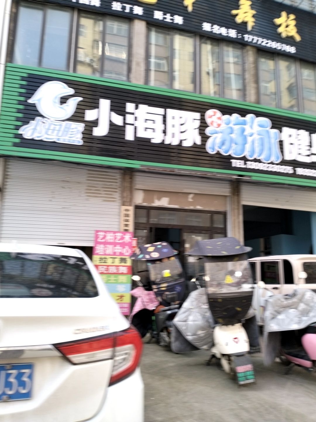 小海豚游泳健身