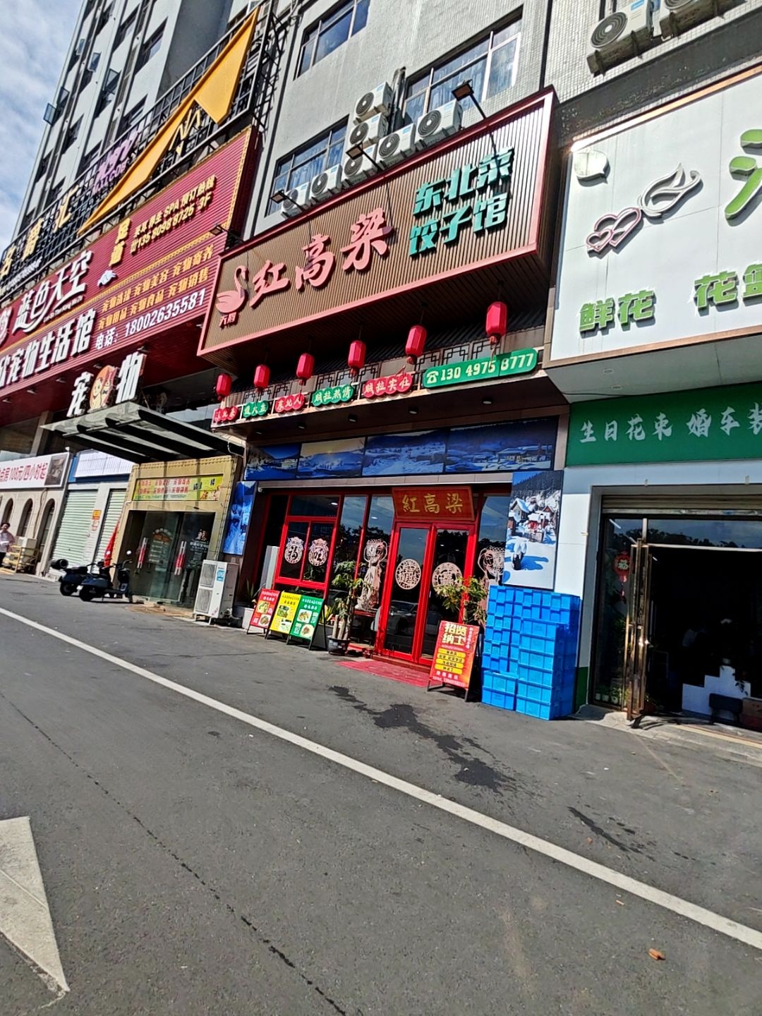白天鹅·红高粱东北菜饺子馆(怀德店)