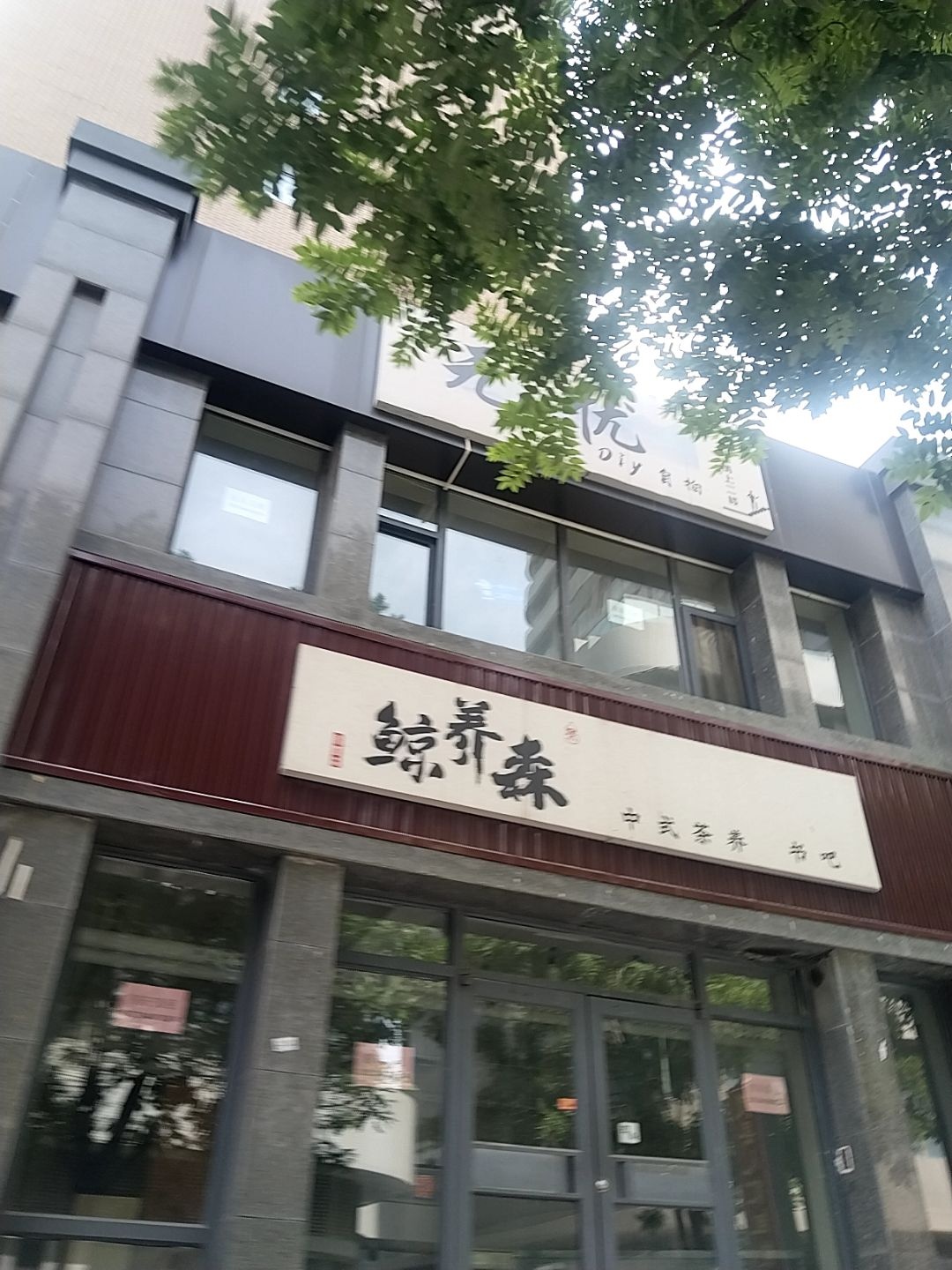 鲸养森