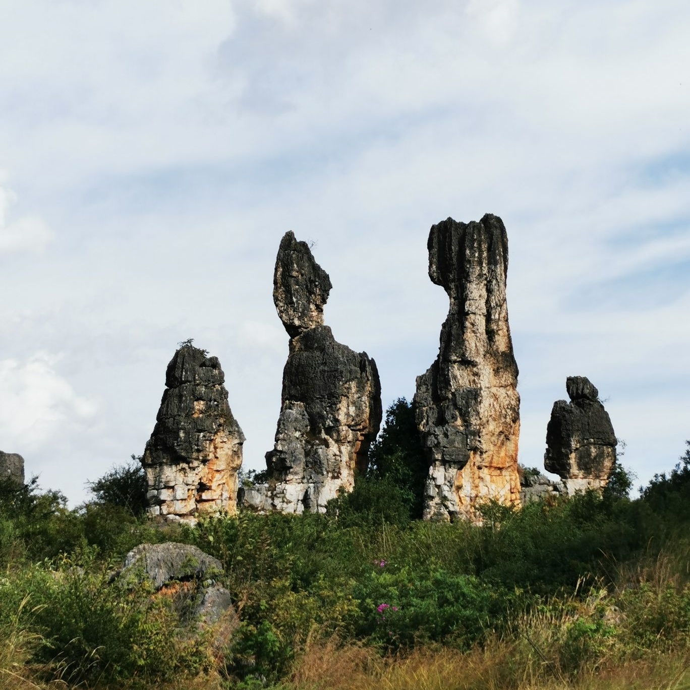 乃古石林风景区
