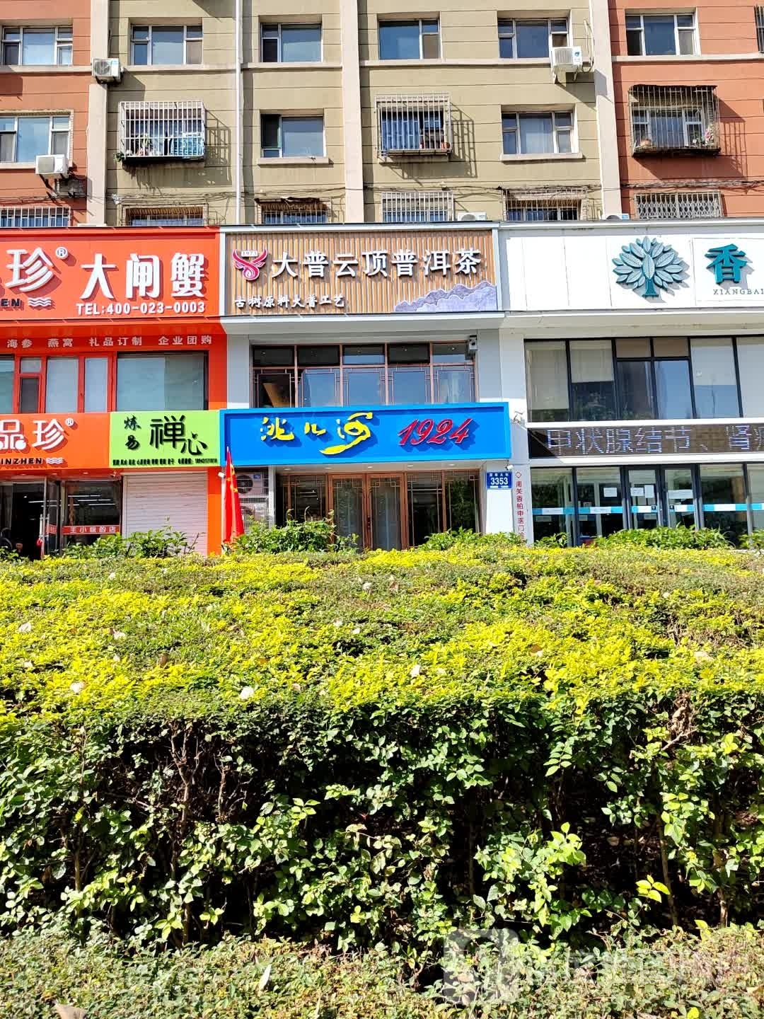 大普云顶普洱茶
