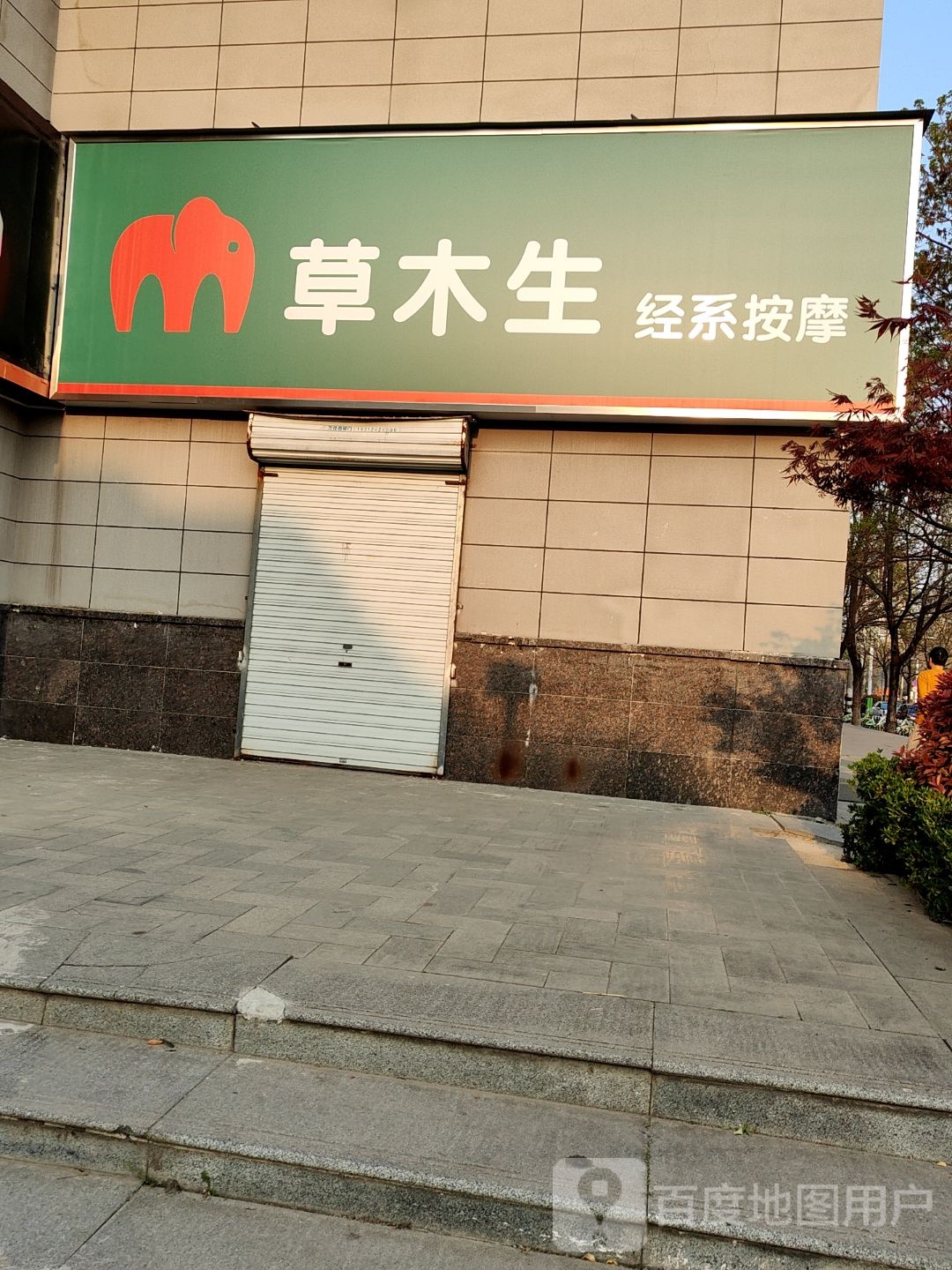 草木生经系摩按