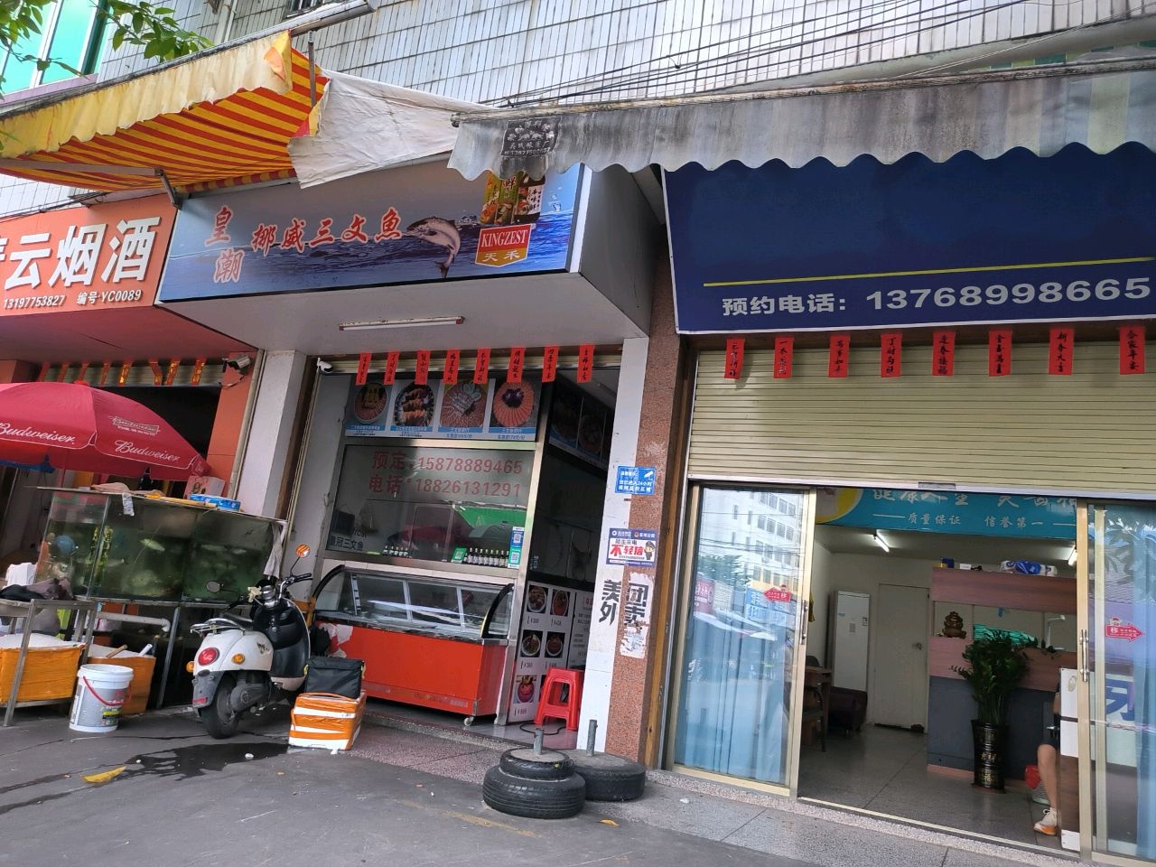 皇潮挪威三文鱼