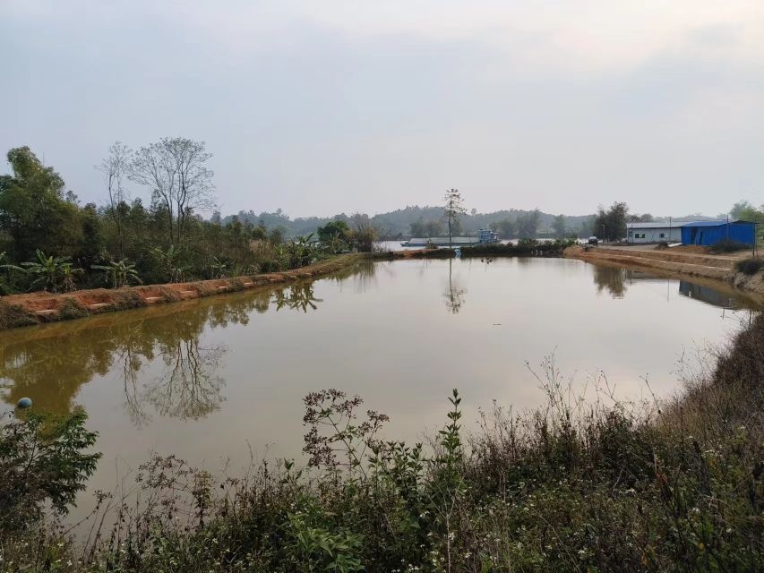 布莲岭休闲钓场