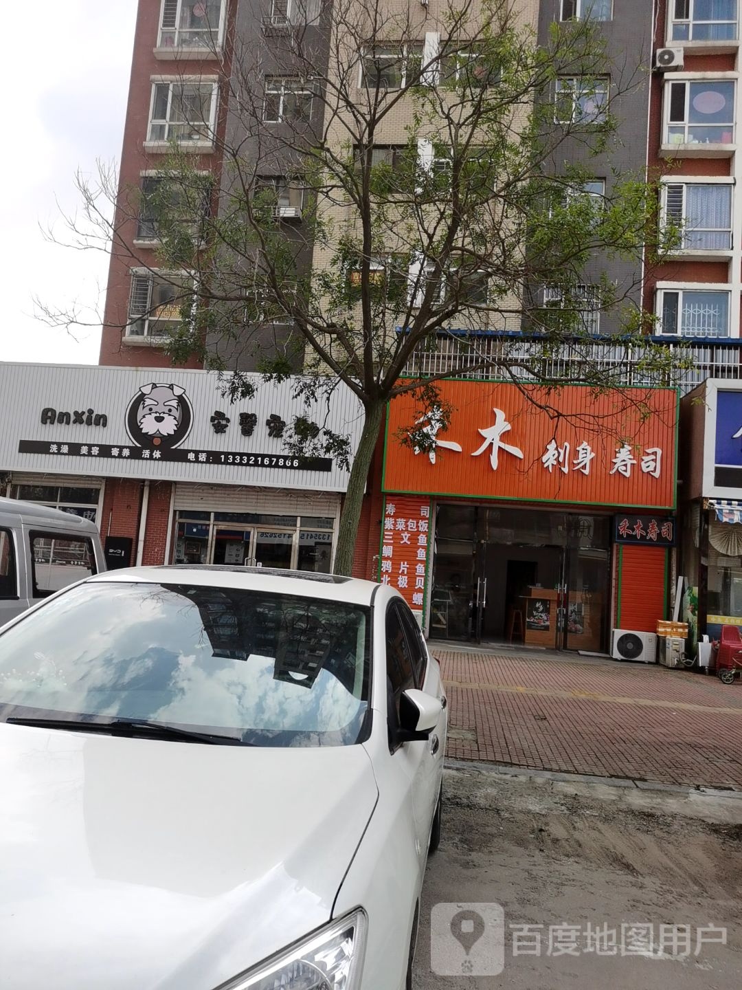 禾木刺身寿司