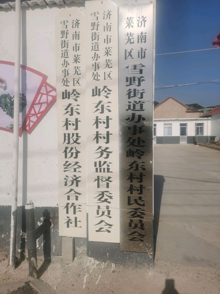 山东省济南市莱芜区雪野街道办事处岭东村