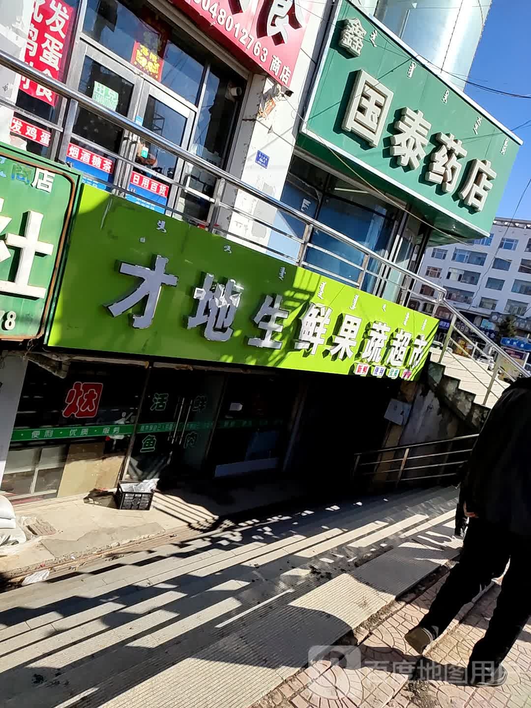 才地星鲜果蔬超市