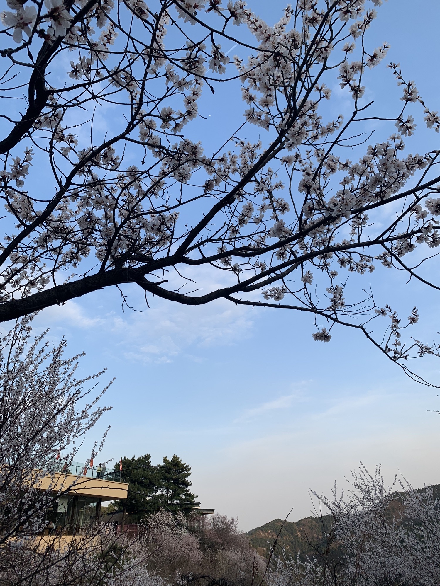 太原杜儿坪桃花沟