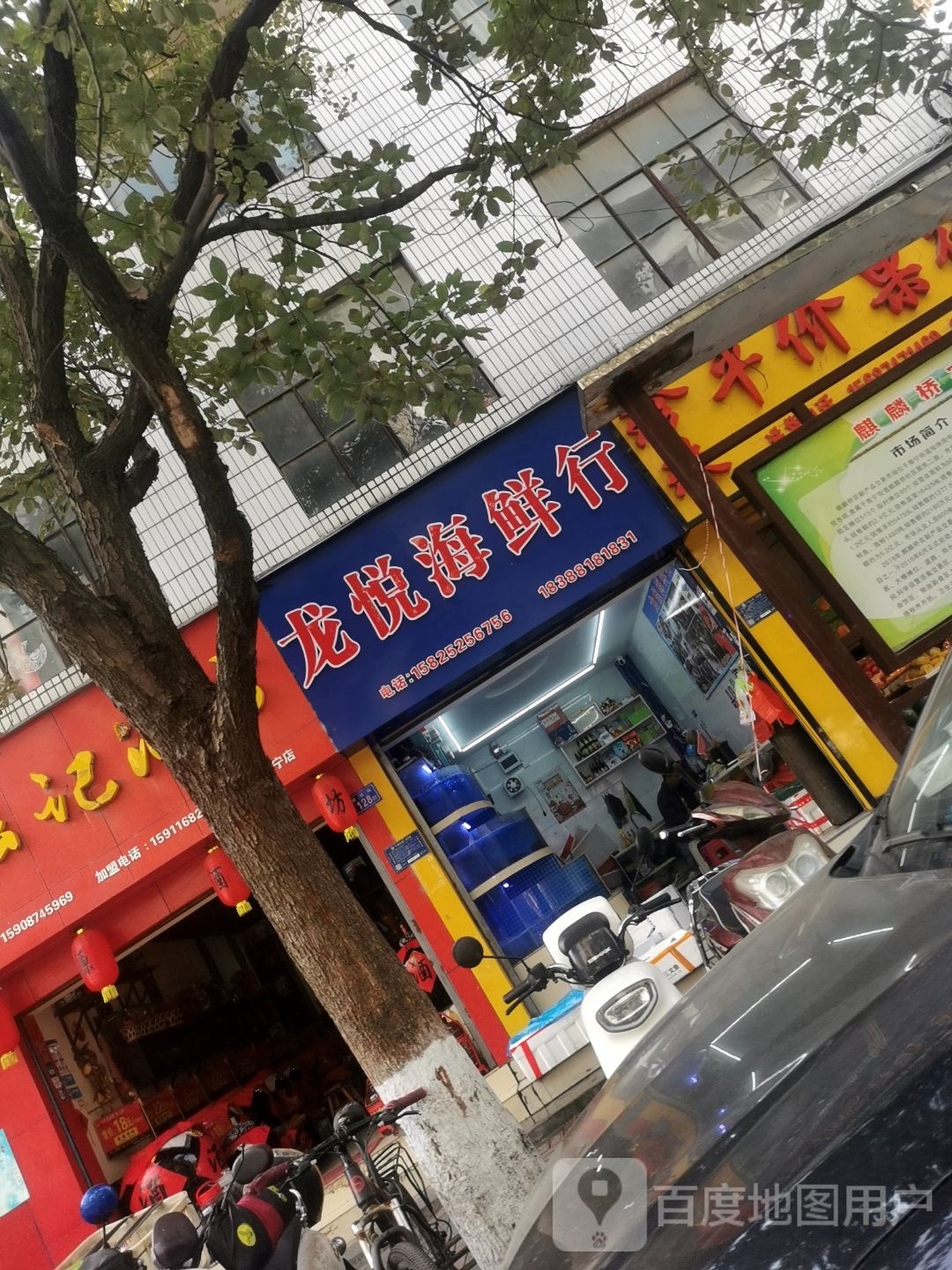 龙悦海先行
