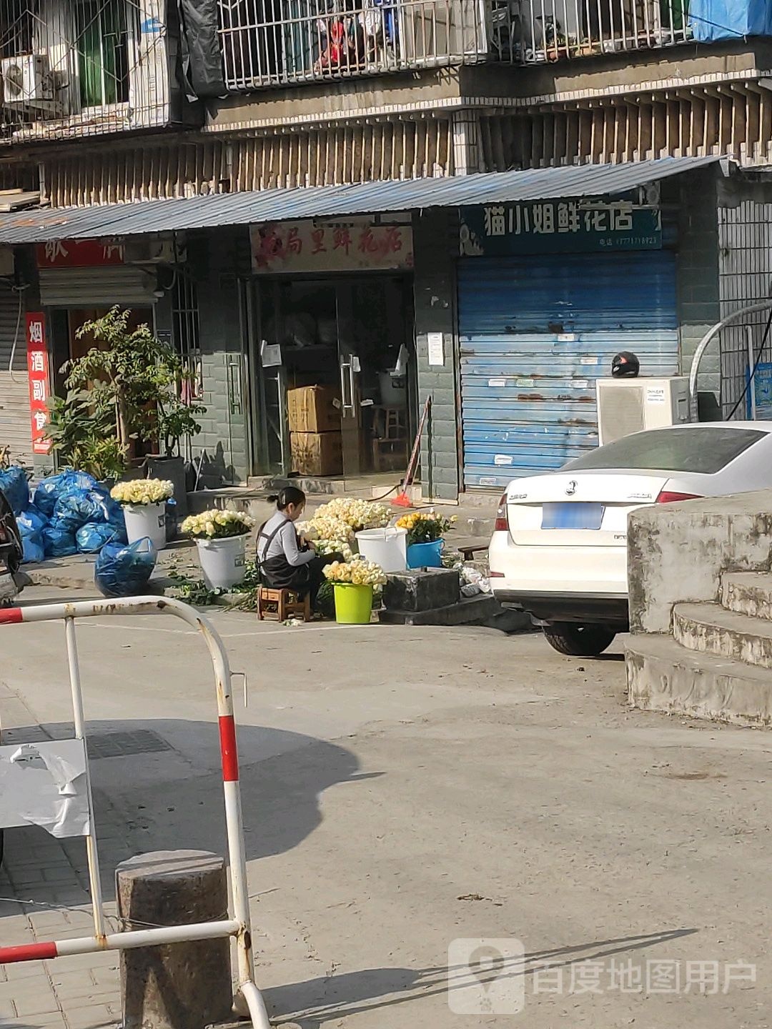 猫小姐鲜花店(绿萝路店)