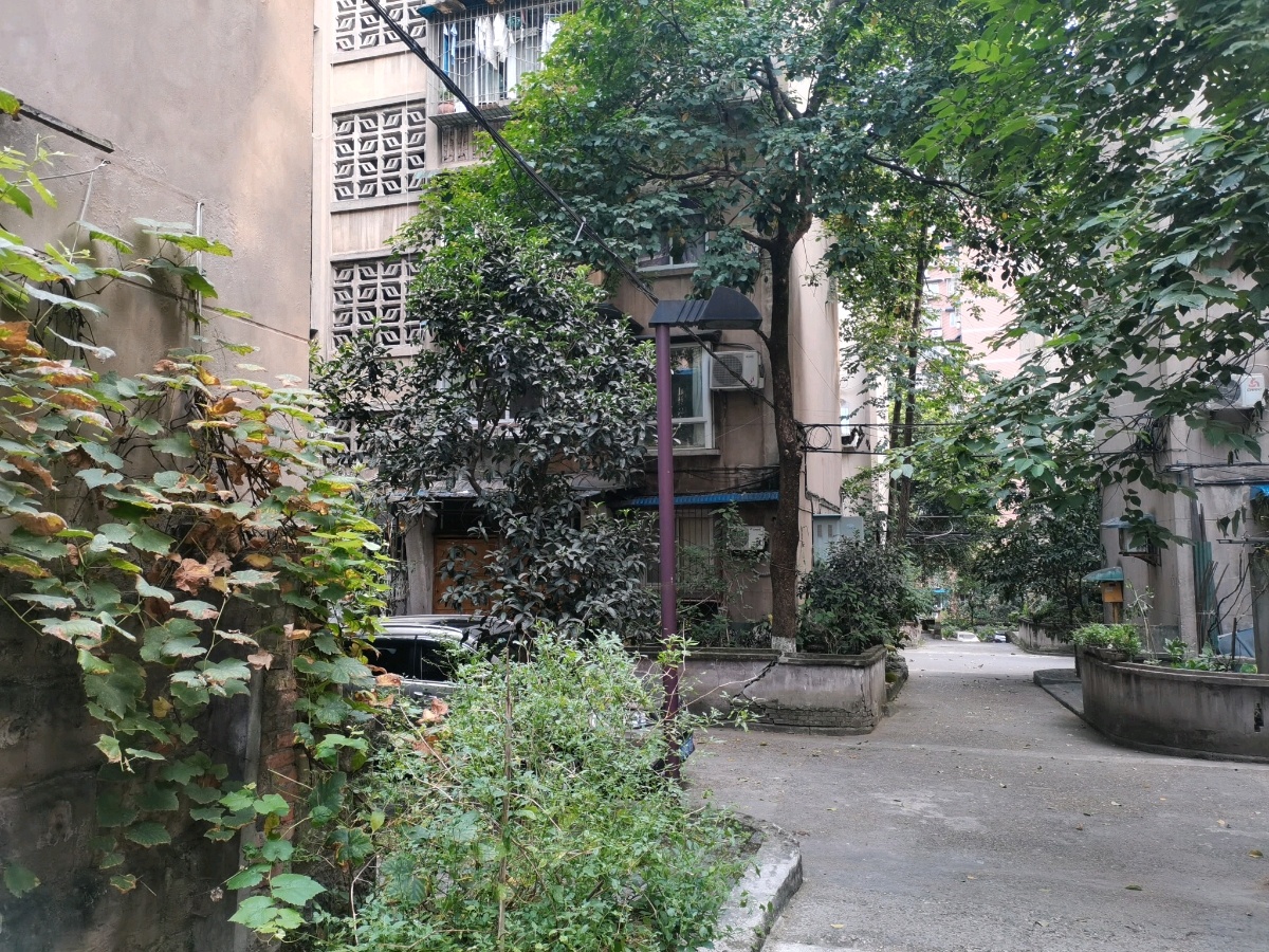 新华村