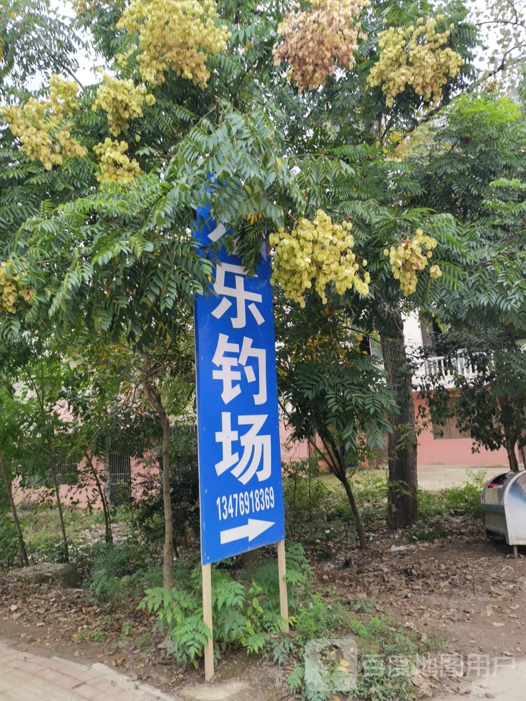 乐乐钓场