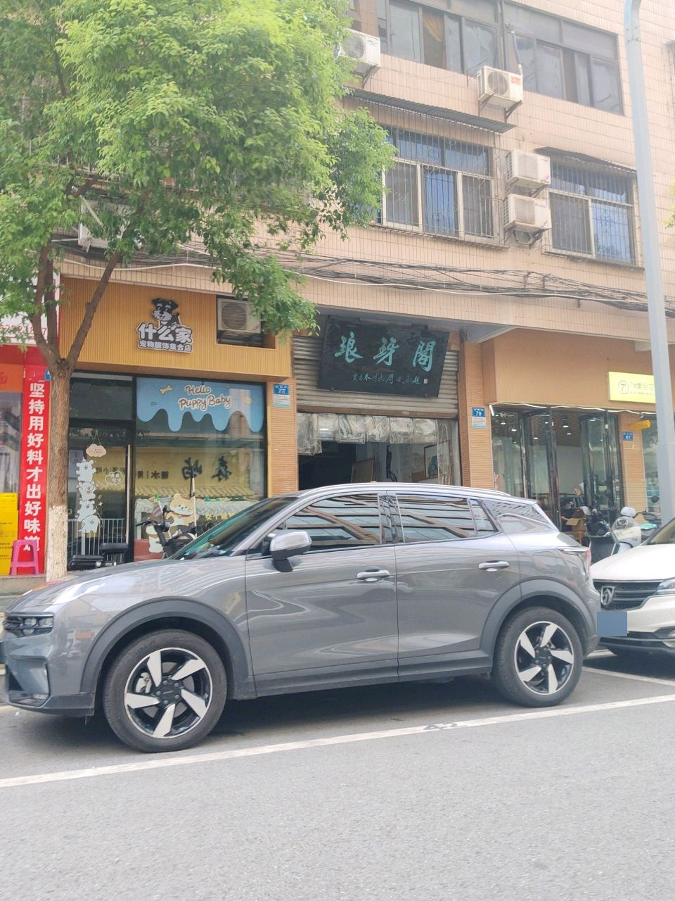 什么家宠物服饰集合店