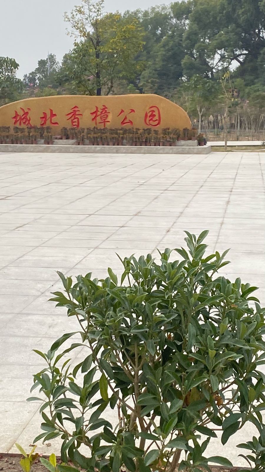 城北香樟公园