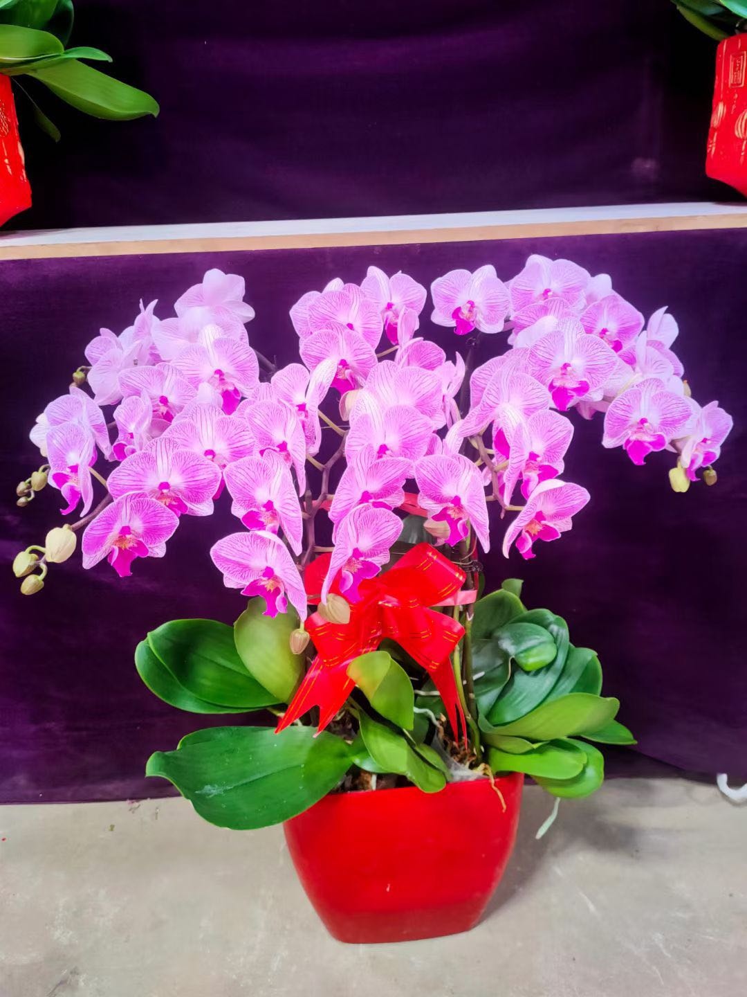 金铭花店