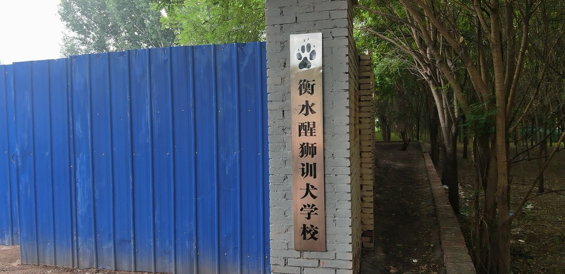 衡水醒狮训犬学校