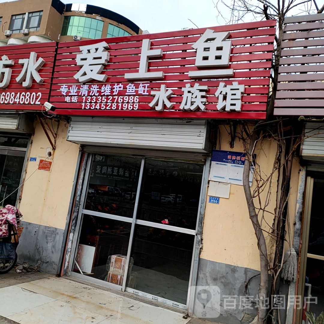 爱上鱼鸟水族馆