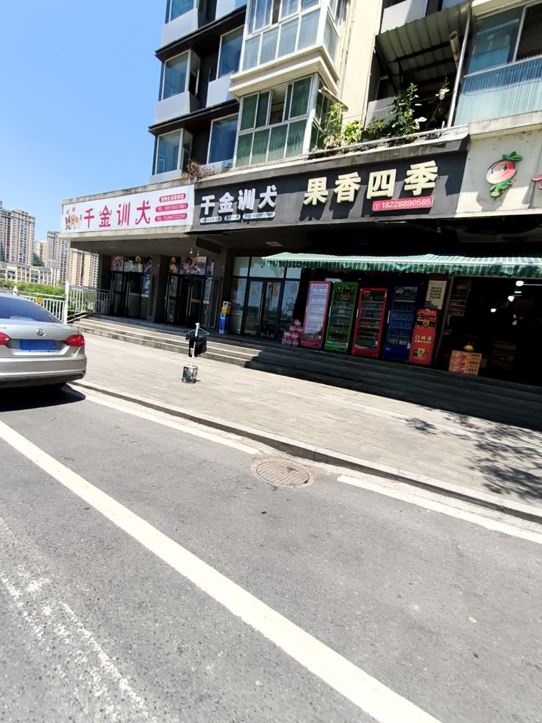 千金训犬(恩阳店)