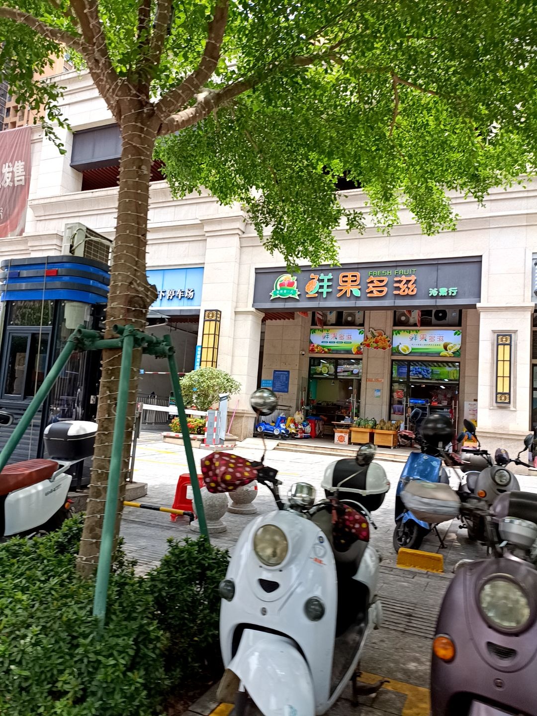 鲜果多滋沁果行(盛和园店)
