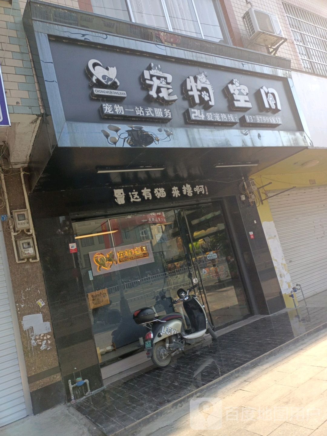 宠物空间宠物店