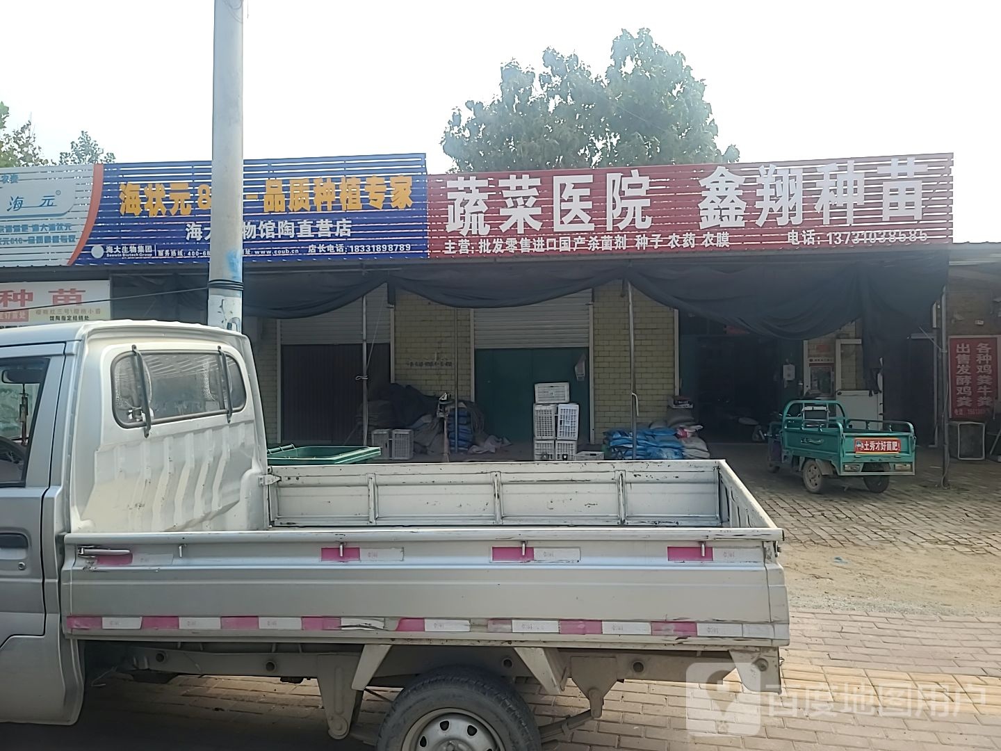 蔬菜医院鑫翔种苗