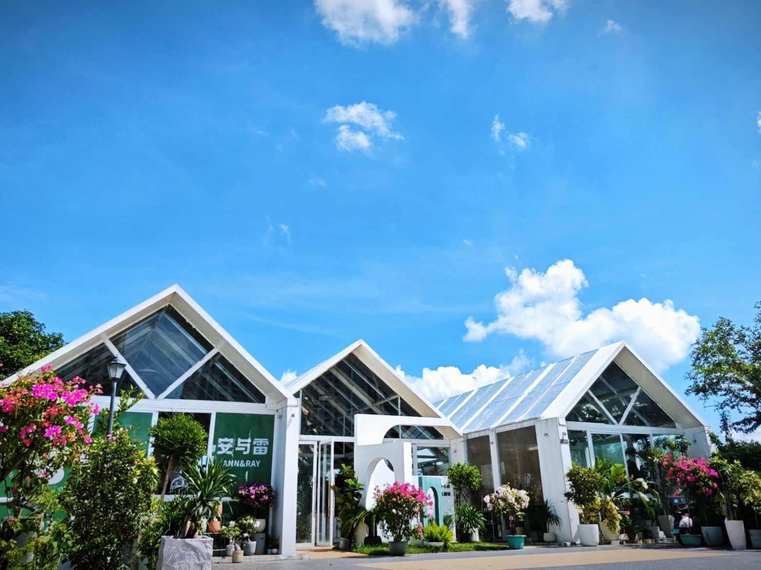 安与雷(三亚鹿城花卉市场店)