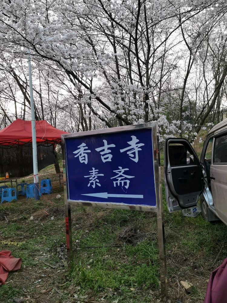 香吉寺樱花园内