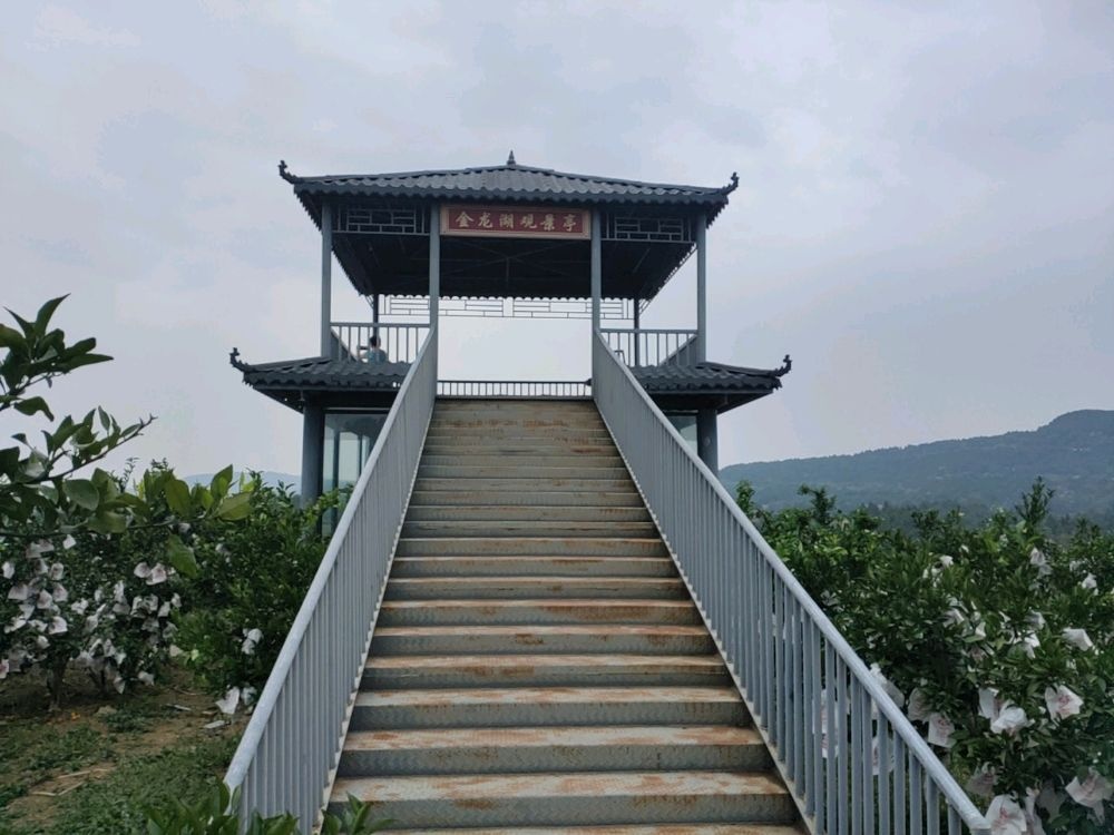 仙鹤镇金龙湖观景亭
