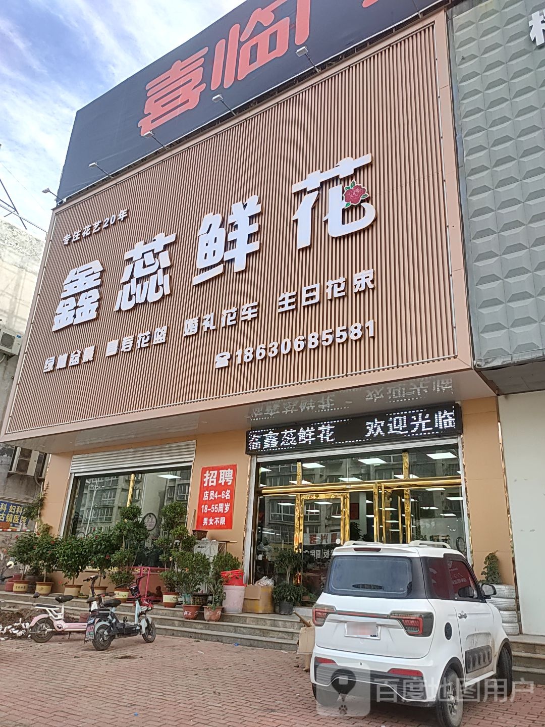 鑫蕊鲜花