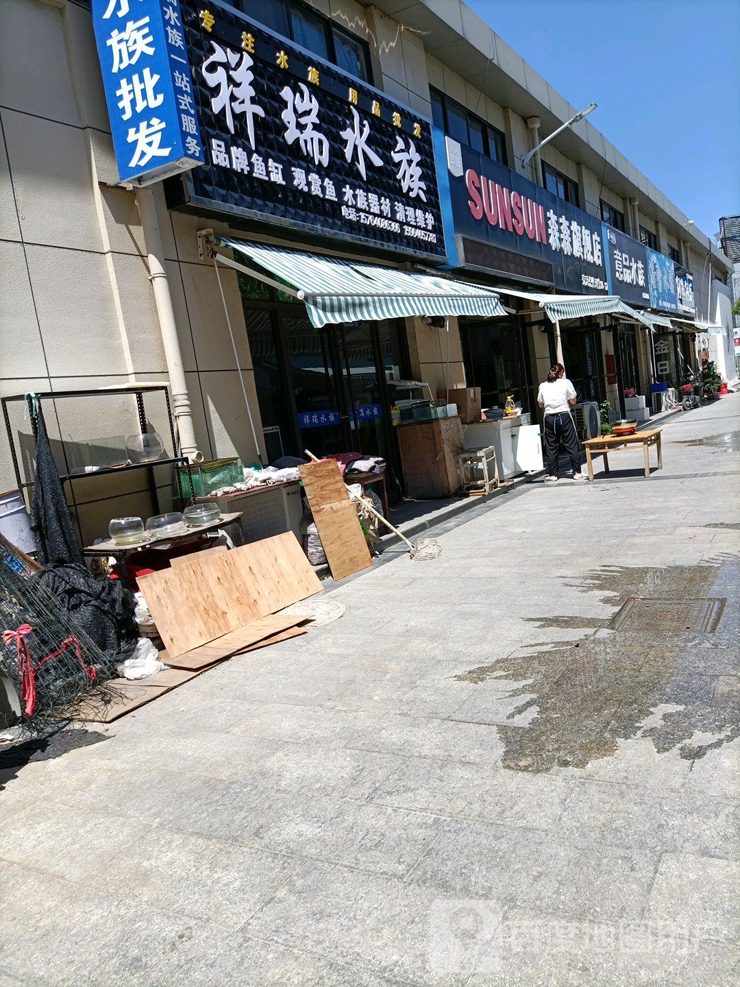 妃鱼水族